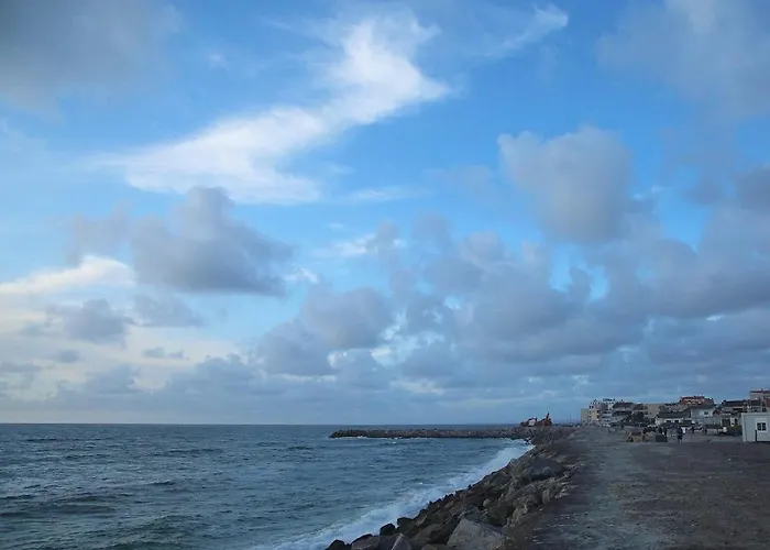 Mares Vivas * Furadouro